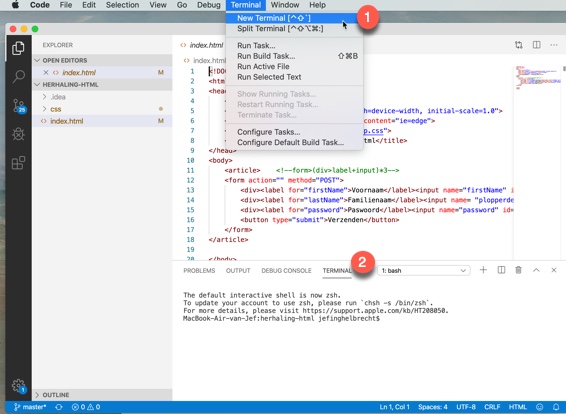 Visual Code OS Terminal